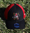 Albuquerque Isotopes Hat-Wings 3930